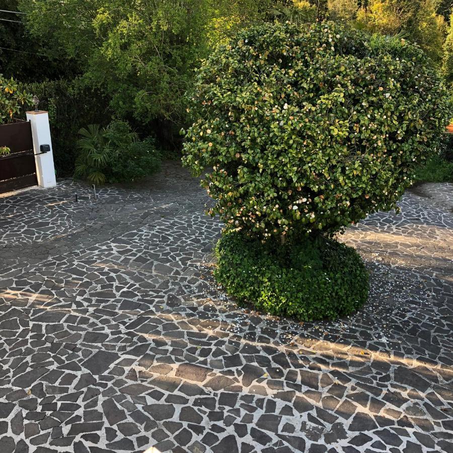 Casa Gramapa Villa Rocca Priora  Exterior foto